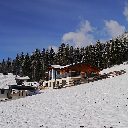 Austrian Alpine Apartments ラムサウ・アム・ダッハシュタイン エクステリア 写真