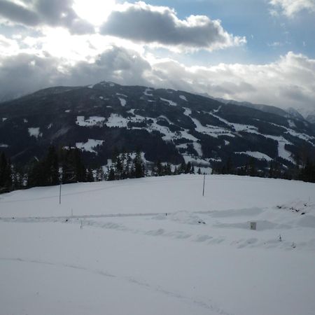 Austrian Alpine Apartments ラムサウ・アム・ダッハシュタイン エクステリア 写真