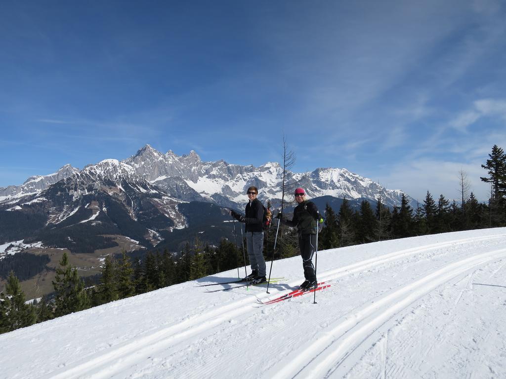 Austrian Alpine Apartments ラムサウ・アム・ダッハシュタイン エクステリア 写真
