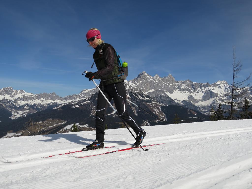 Austrian Alpine Apartments ラムサウ・アム・ダッハシュタイン エクステリア 写真