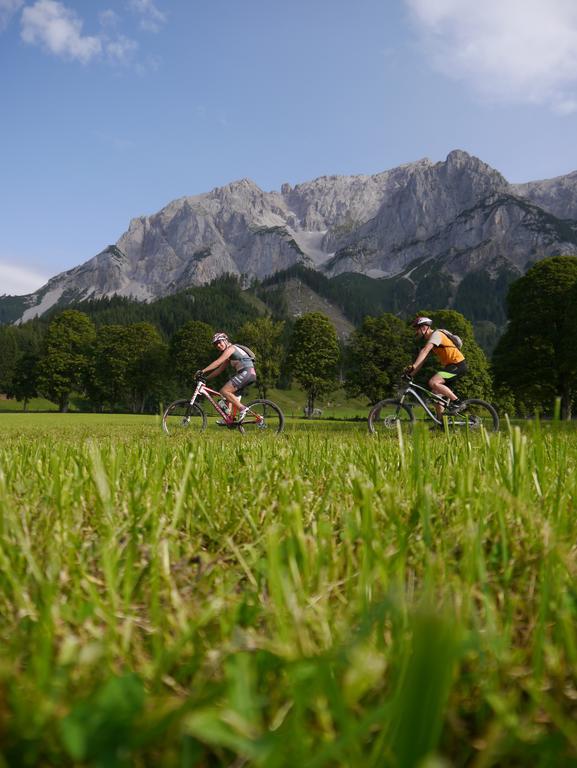Austrian Alpine Apartments ラムサウ・アム・ダッハシュタイン エクステリア 写真