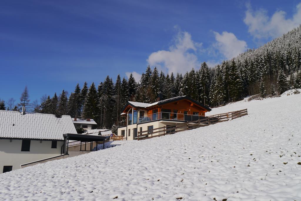Austrian Alpine Apartments ラムサウ・アム・ダッハシュタイン エクステリア 写真