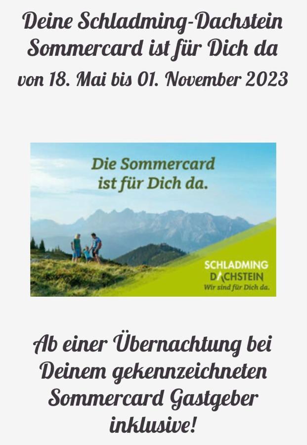 Austrian Alpine Apartments ラムサウ・アム・ダッハシュタイン エクステリア 写真