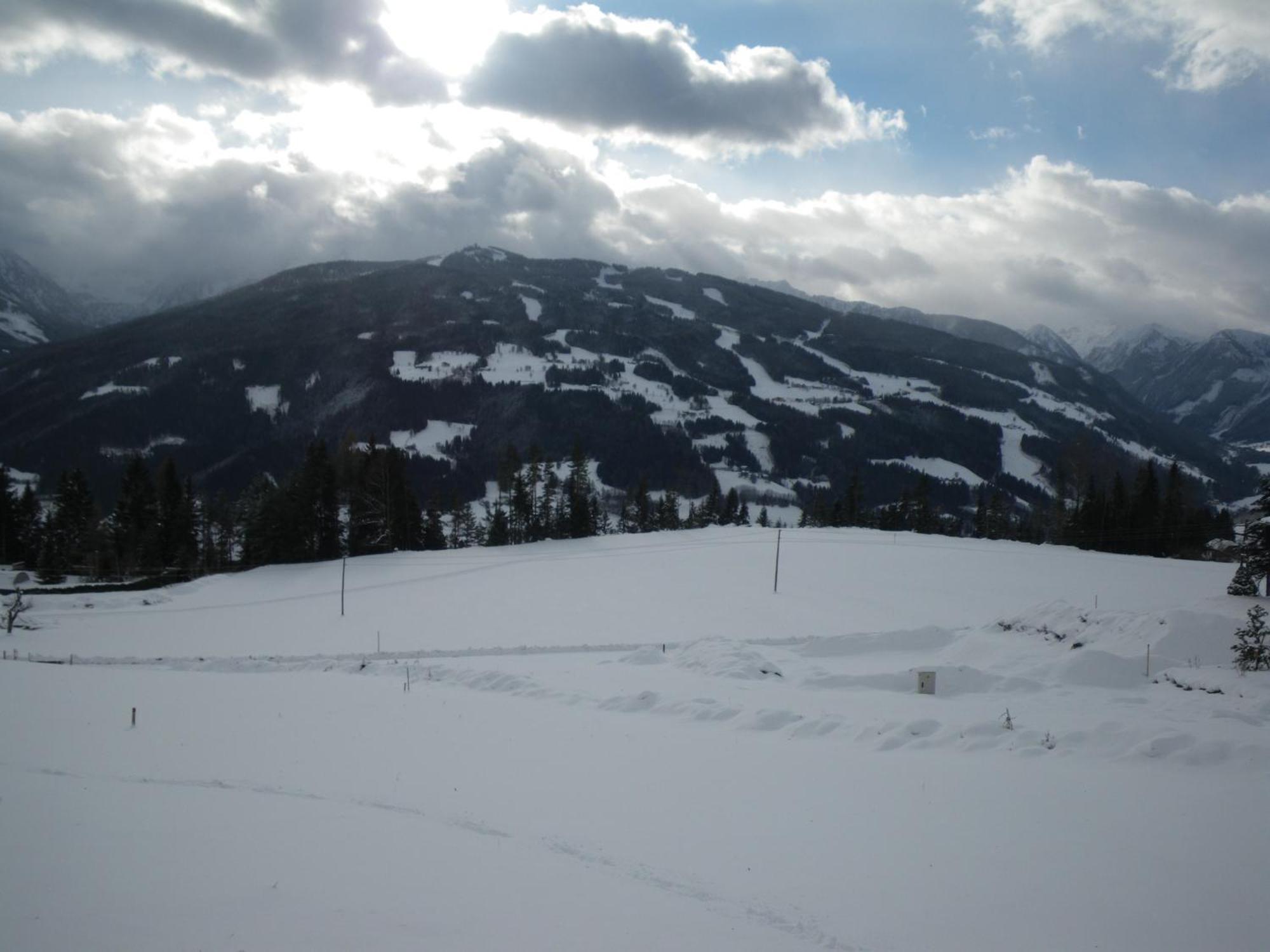 Austrian Alpine Apartments ラムサウ・アム・ダッハシュタイン エクステリア 写真