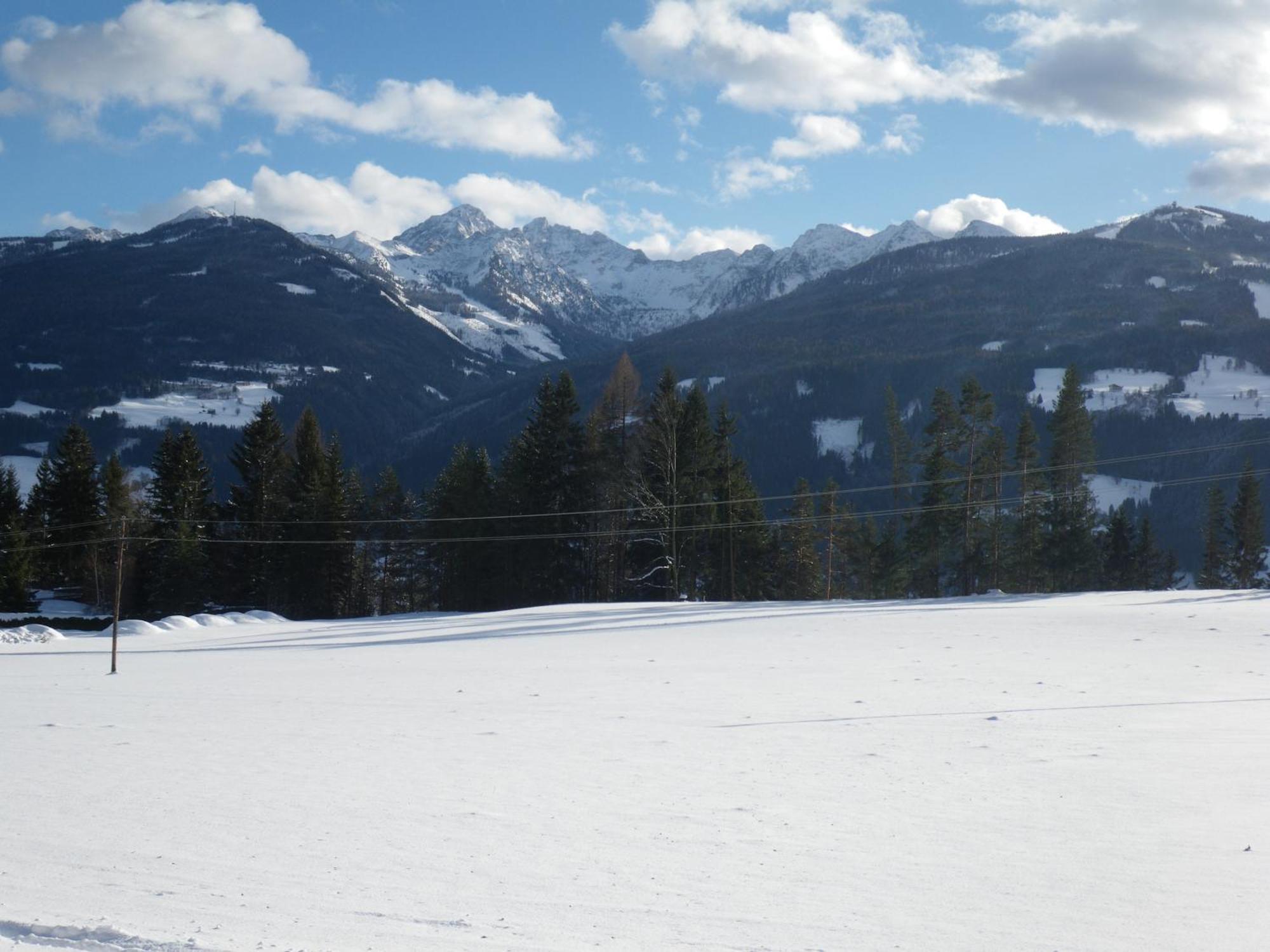 Austrian Alpine Apartments ラムサウ・アム・ダッハシュタイン エクステリア 写真