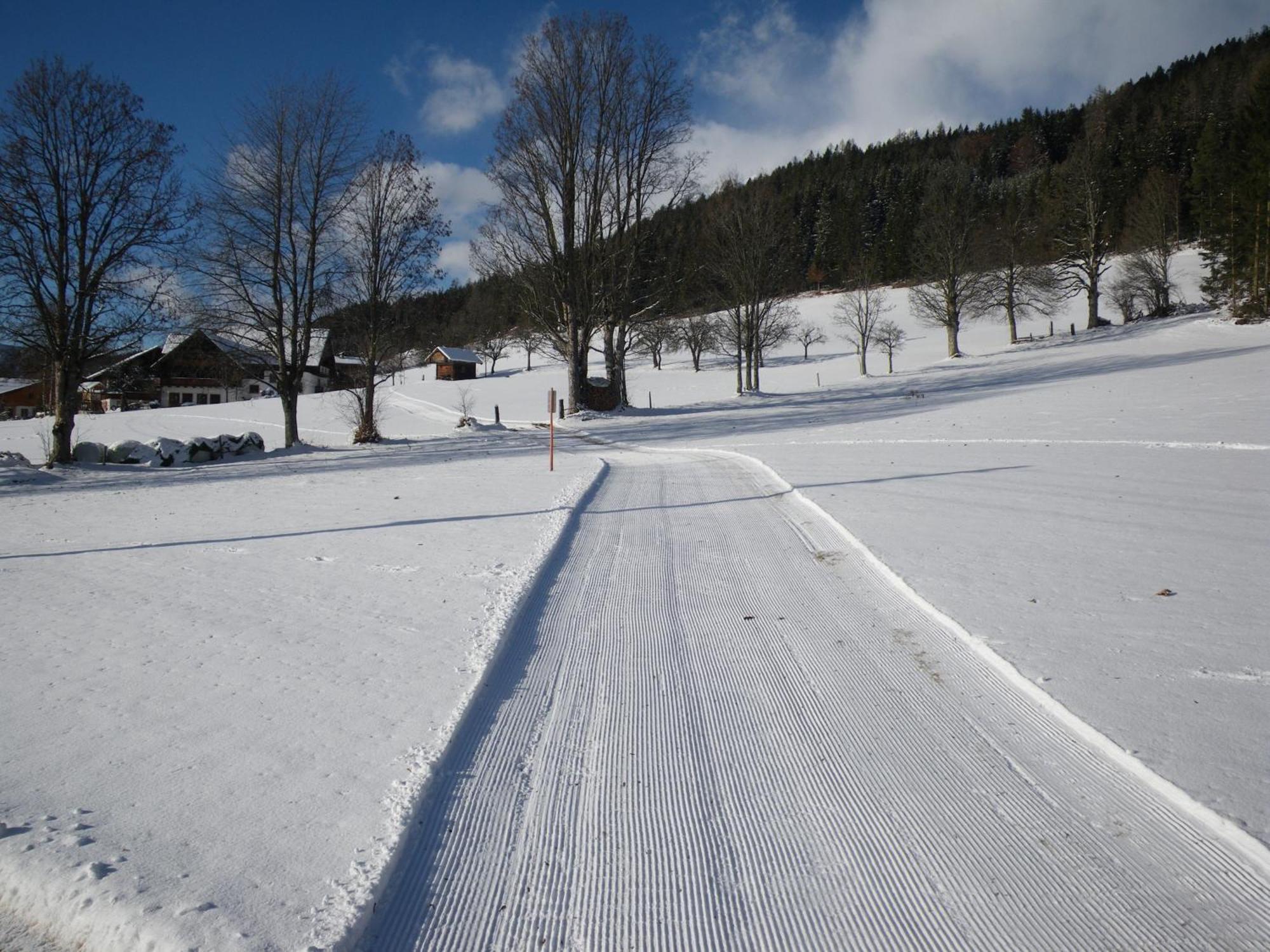 Austrian Alpine Apartments ラムサウ・アム・ダッハシュタイン エクステリア 写真