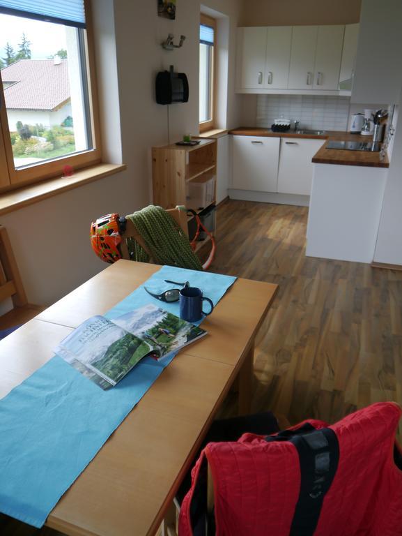 Austrian Alpine Apartments ラムサウ・アム・ダッハシュタイン エクステリア 写真