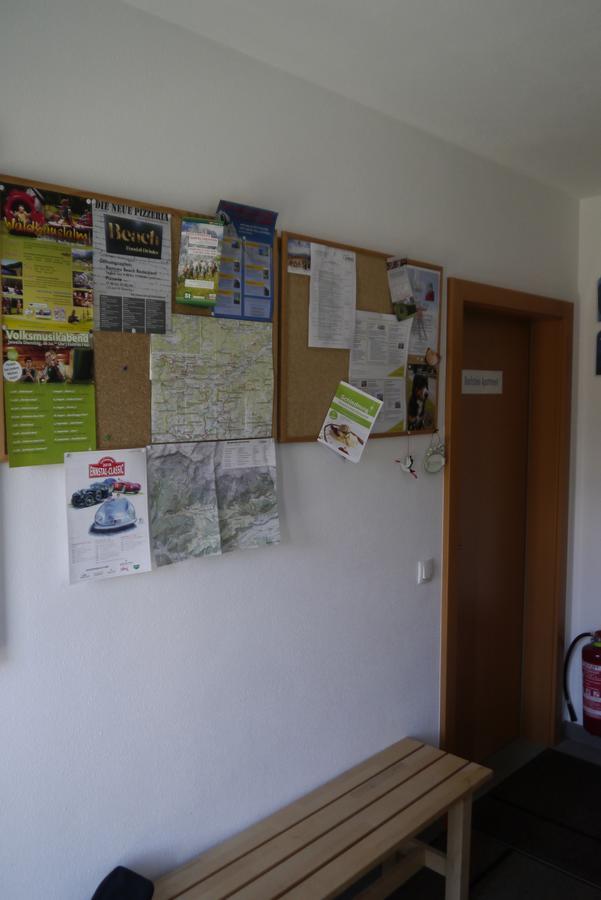 Austrian Alpine Apartments ラムサウ・アム・ダッハシュタイン エクステリア 写真
